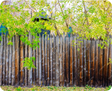 Metal Garden Arbor